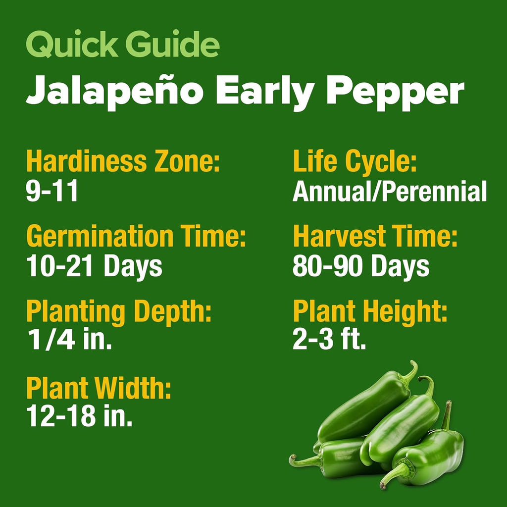 HOME GROWN Jalapeno Pepper Seeds – 258 Heirloom Seeds (Capsicum annuum) – High Germination, Easy to Grow, Early Harvest Hot Peppers