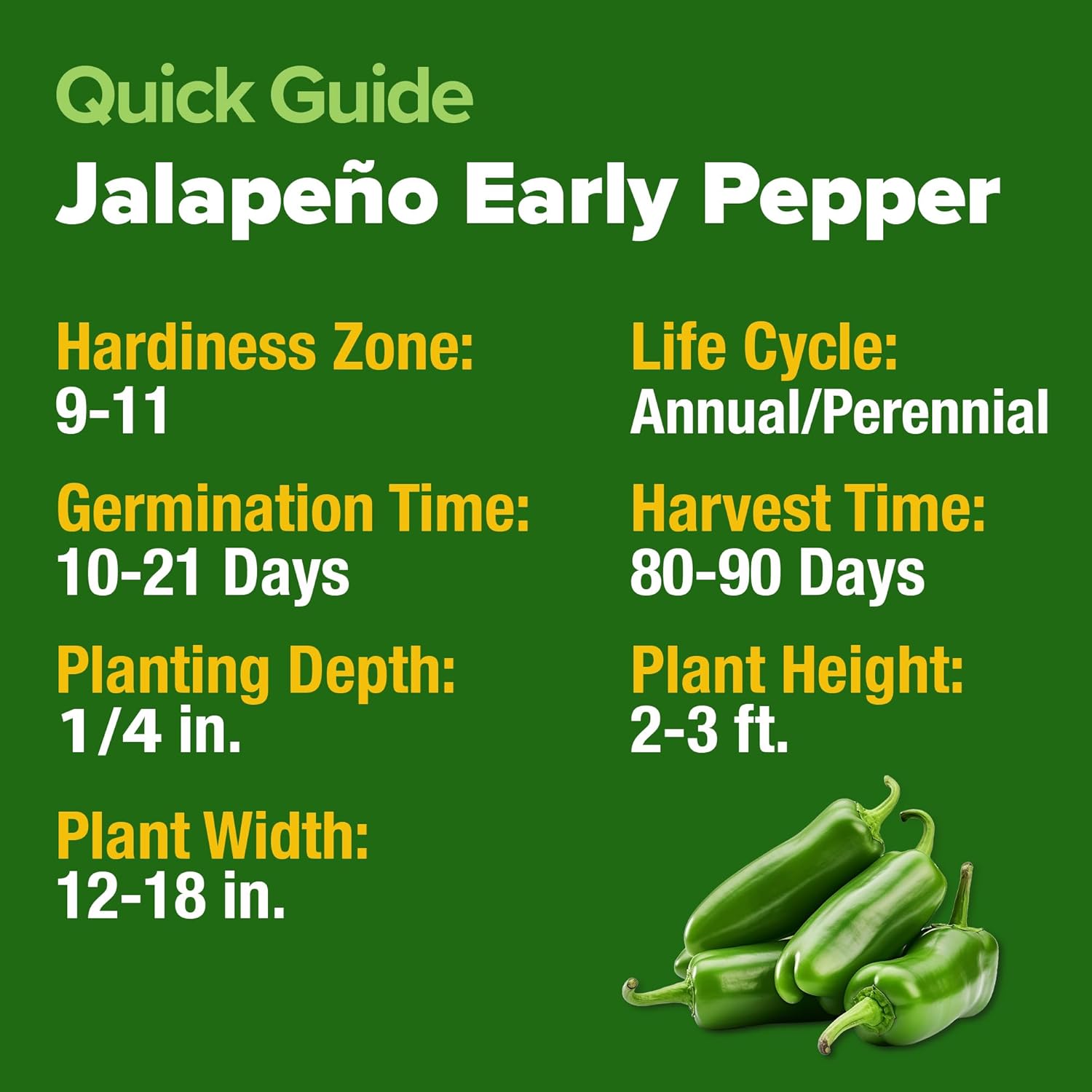 HOME GROWN Jalapeno Pepper Seeds – 258 Heirloom Seeds (Capsicum annuum) – High Germination, Easy to Grow, Early Harvest Hot Peppers