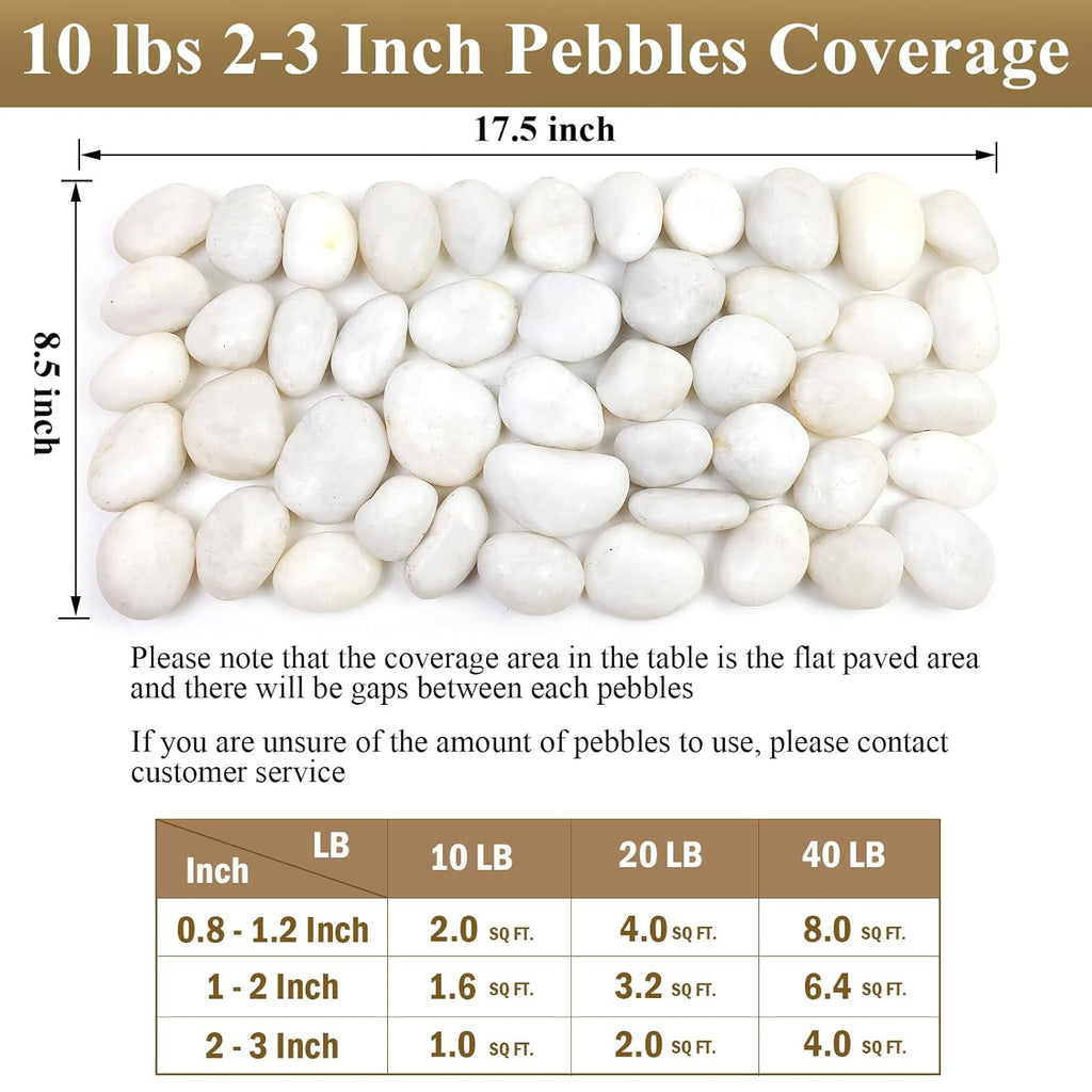 5 lbs Large White River Rocks, 2-3 inch Pebbles for Indoor Plants, Polished Decorative Stones for Planters Vase Aquarium and Outdoor Garden Landscaping Rocks
