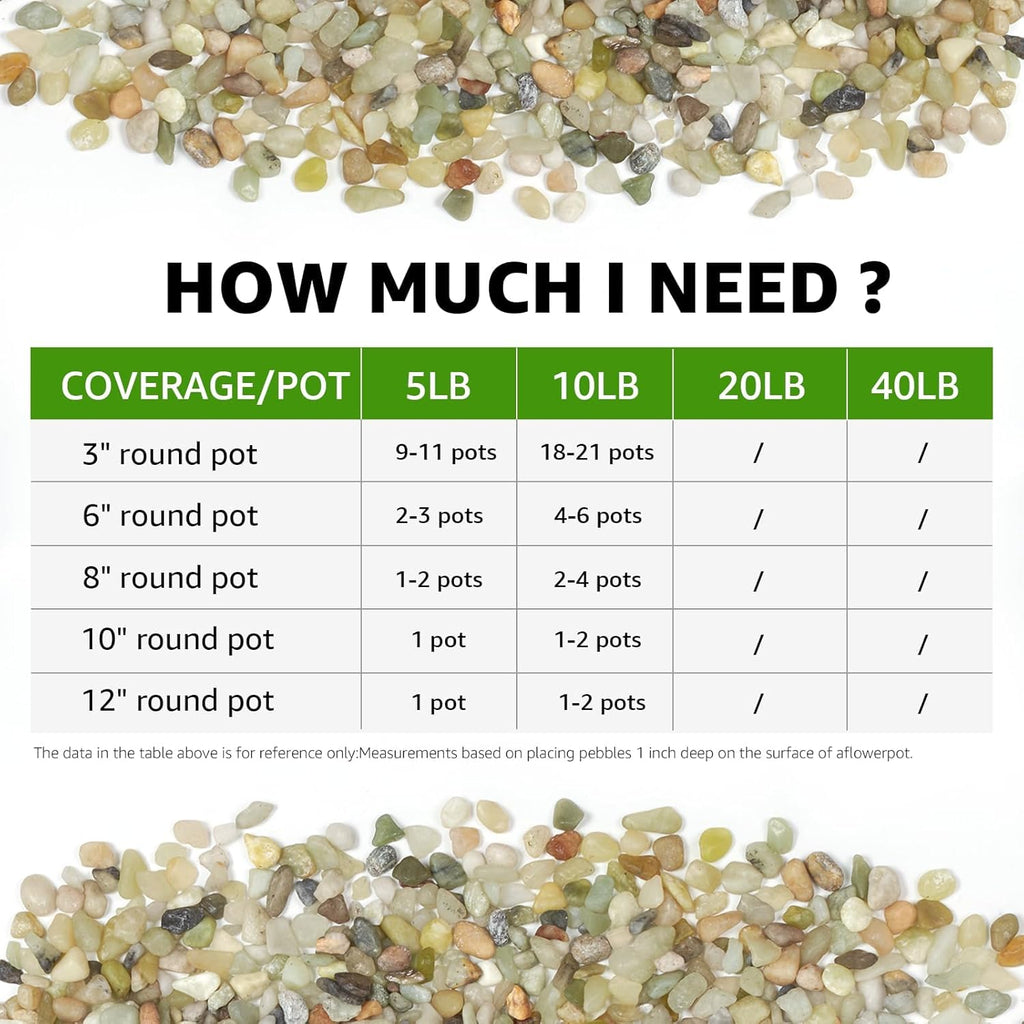 5 LBS Decorative Jade Stones – Ideal for Succulent Cactus Plants, Vase Fillers, Fish Tanks, and Landscaping Projects. 1/5 Inch Stones Promote Healthy Plant Growth (Jade, 5 Pounds)