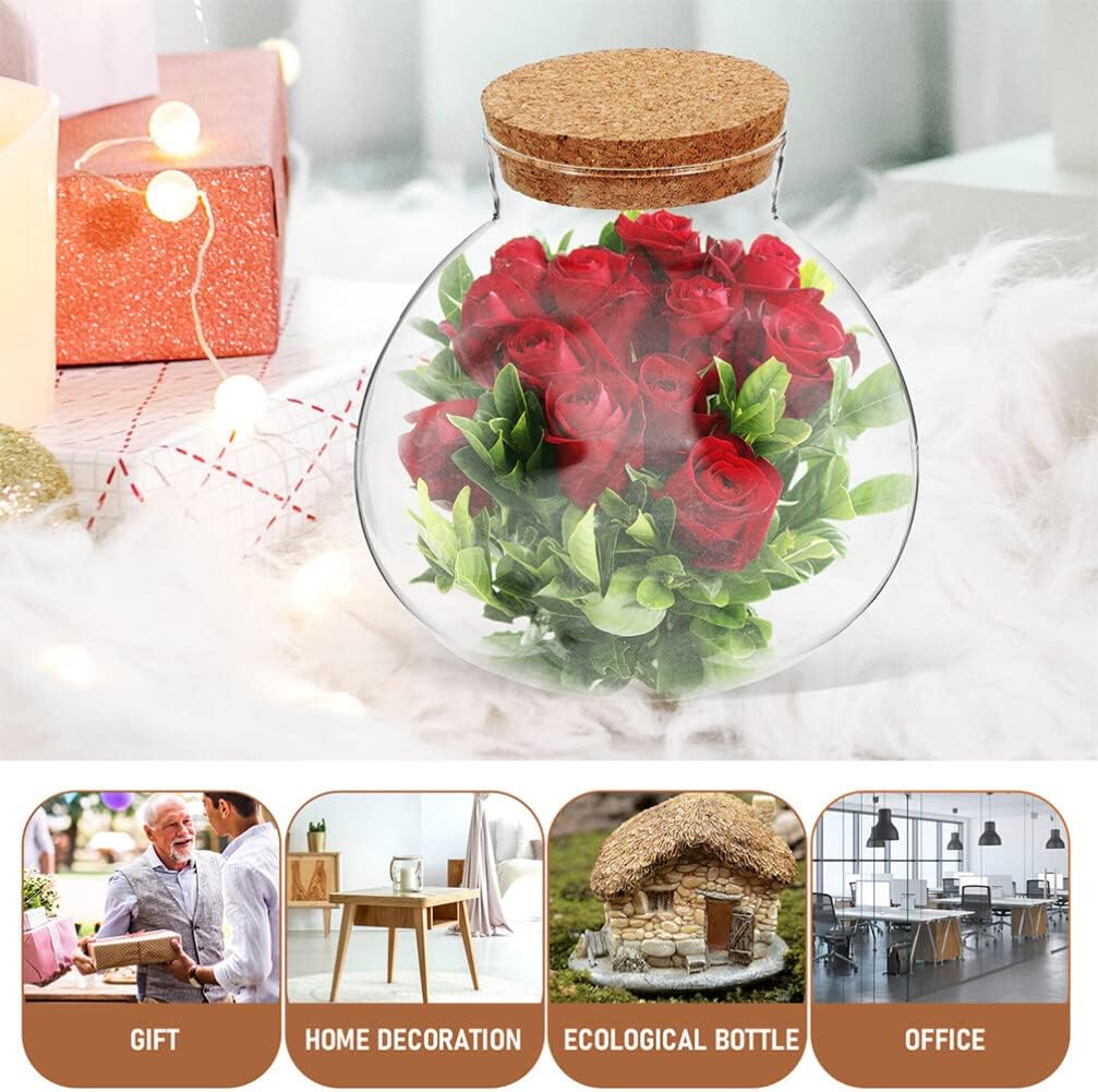 BESPORTBLE Round Glass Jars with Cork, Small Round Glass Dome Clear Cloche Globe Display Bell Jar Terrarium for Flower Dollhouse Mini Figure Collectible 2pcs 15cm
