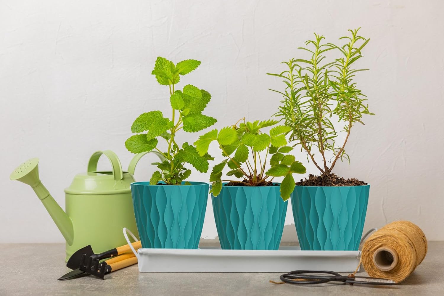 4 Inch Plant Pots, 6 Pack Indoor Flower Pots, Planters with Drainage Holes and Trays for Orchids, Violets, Succulents, Herbs, and Other Plants,Blue-Green