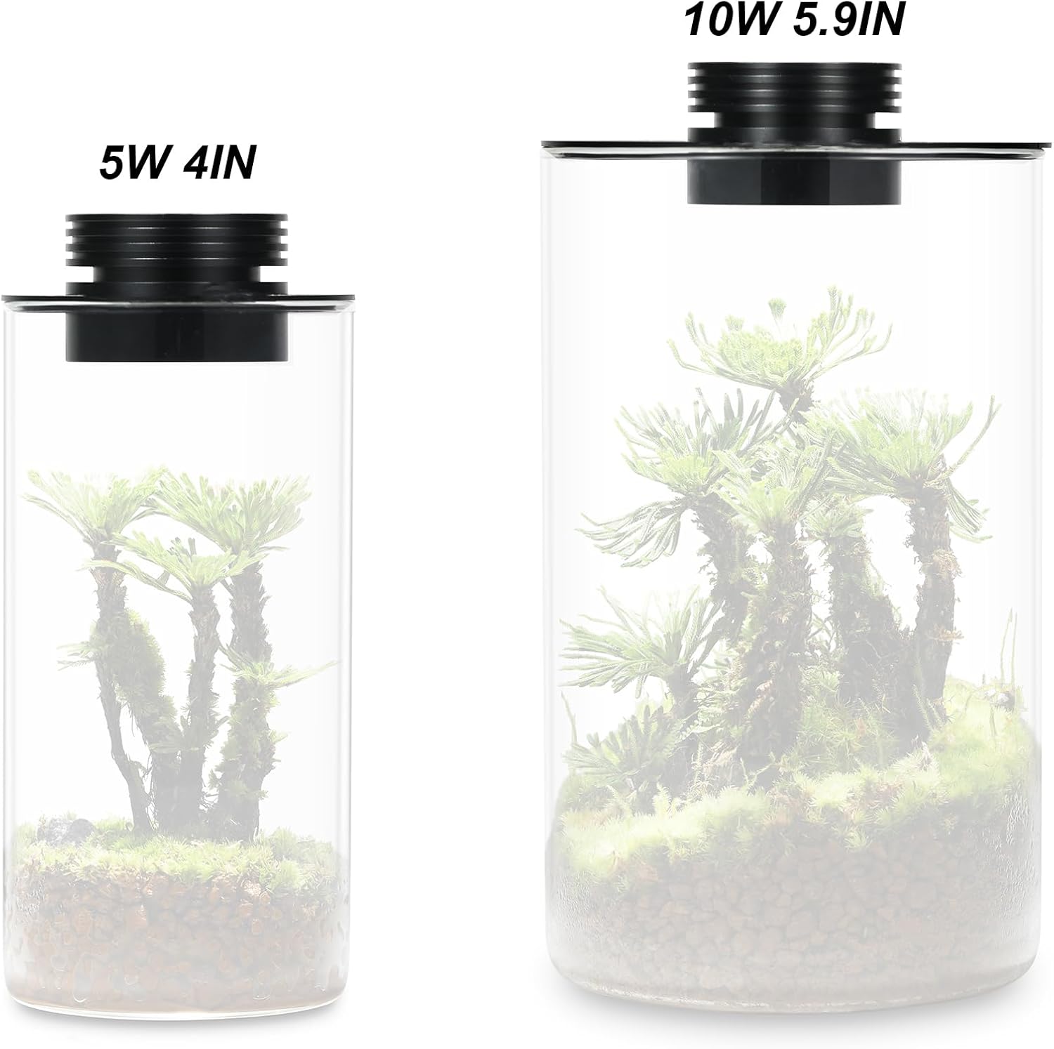 Glass Terrarium Plant Growing Lamp, for Vases Up to 4 Inches in Diameter, Light with Timer Auto On/Off, Indoor Plant Growth, Succulent, Miniature Gardening Landscape (5W 4IN)