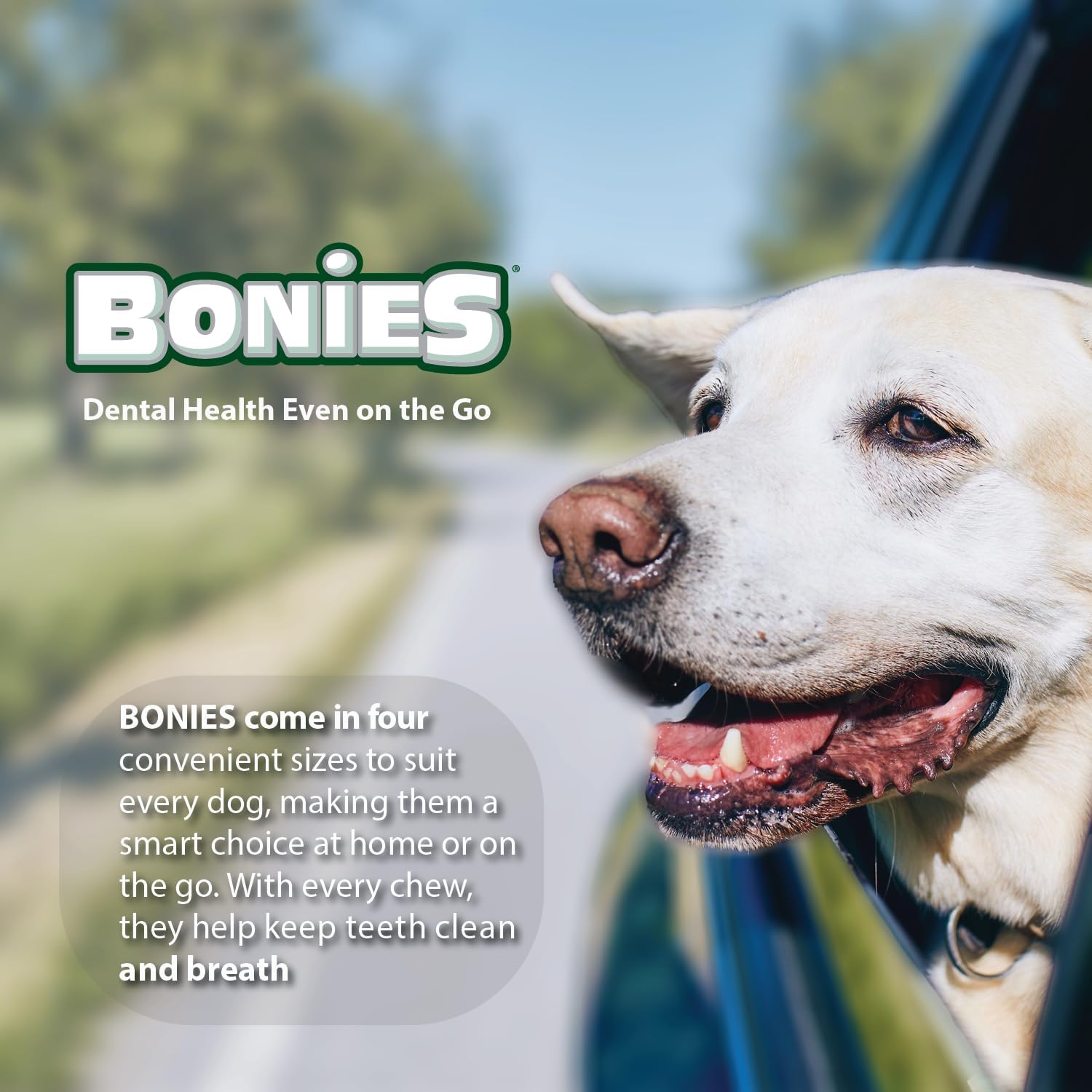 Bonies Breath and Dental Formula Treats for Dogs, All-Natural Ingredients, Fresh Breath, Cleans Teeth, Low Calories, Chicken Flavor - Medium, 8 Bones, 11.45-oz