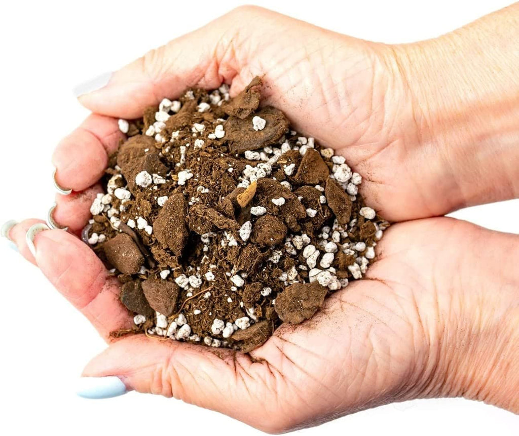 GARDENERA Palm Tree Potting Mix - The Ultimate Soil for Strong and Healthy Palms - Top Choice for Palm Tree Growers [5 Quart Bag]