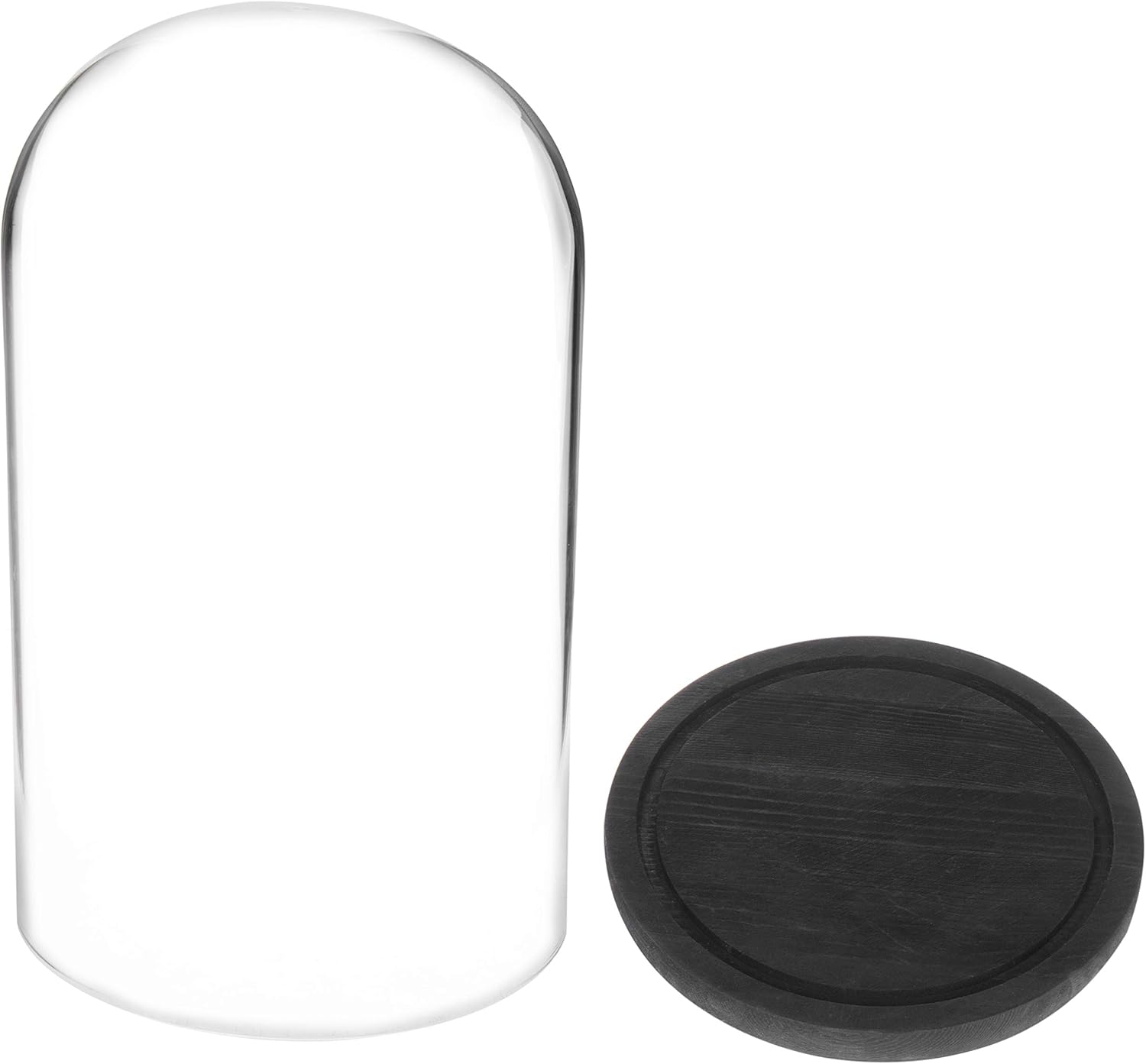 MyGift The Bell Jar Glass Cloche with Black Wood Base, 10 Inch Tall Clear Decorative Glass Dome Display for Plants, Curios, Keepsakes, Heirlooms