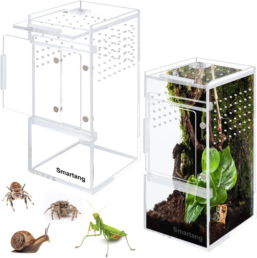 Jumping Spider Enclosure,Arboreal Tarantula Enclosure,Spider Habitat,Praying Mantis Habitat,Frog Enclosure,Insect Terrarium Bug Enclosure,Acrylic Terrarium