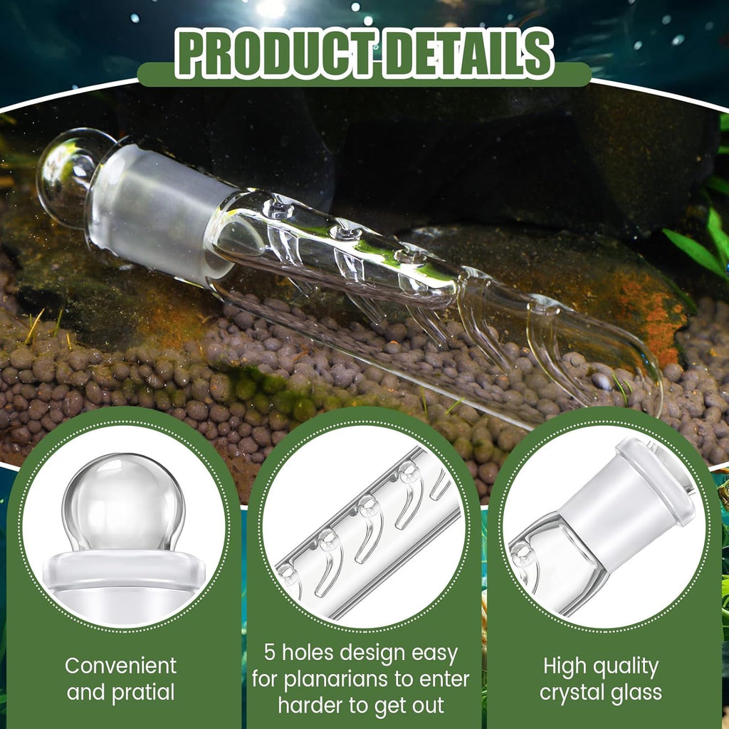 Qualirey 4 Pack Planaria Catch Trap for Aquarium Snail Leech Clear Glass Planaria Trap for Dwarf Shrimp Red Cherry Shrimp Tank(5 Holes)