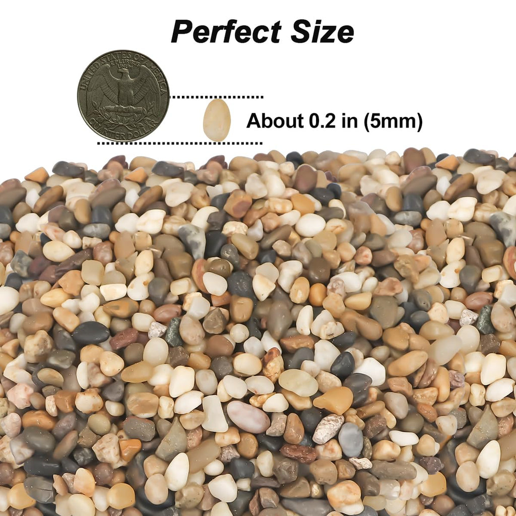 Landscaping Pebbles River Rocks Decorative Ornamental Pebbles Garden Landscaping Stones Gravel Filler for Home Decoration Flower Bed Fish Tank Plants Vases Succulents (1, Mixed Color, 1 Pound)
