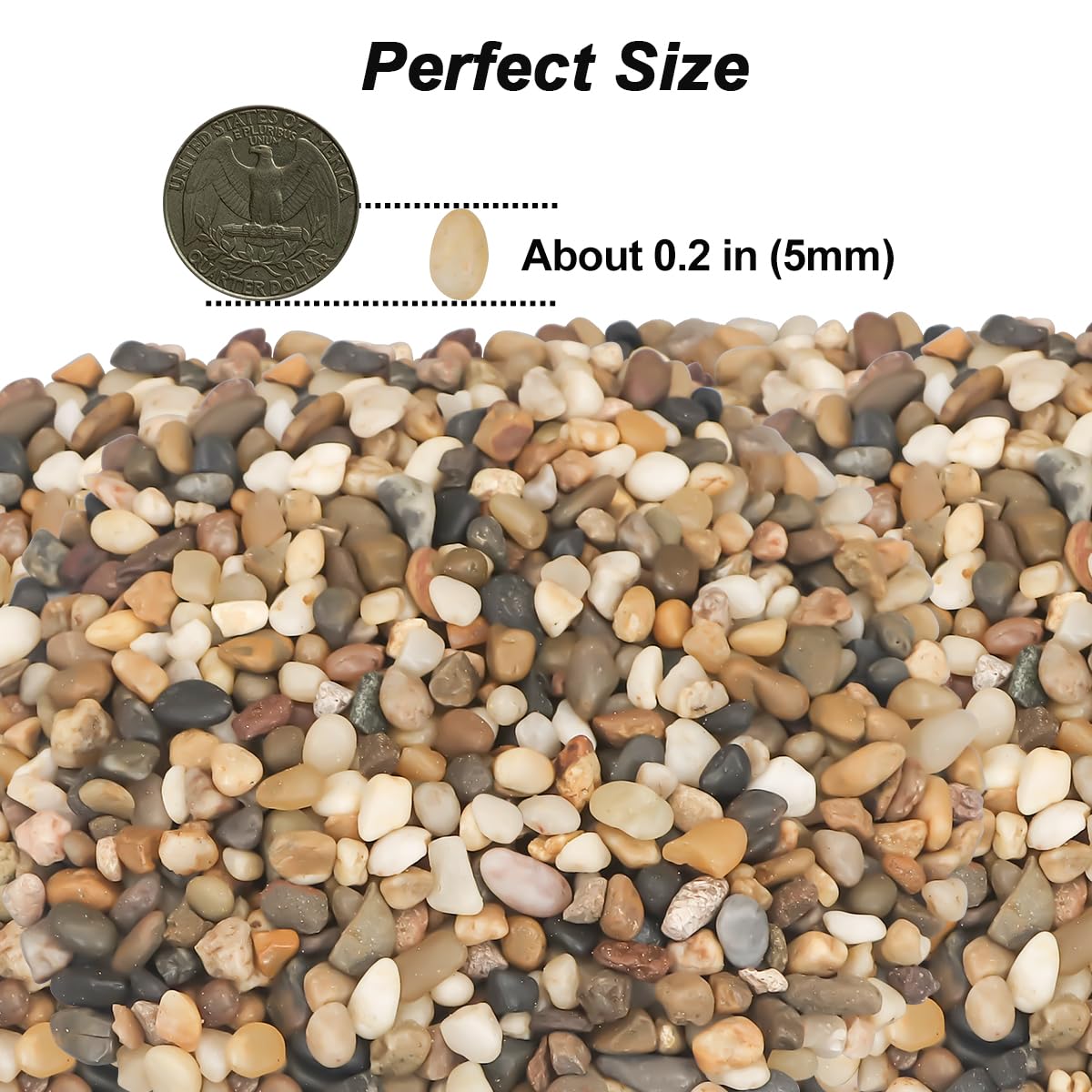 Landscaping Pebbles River Rocks Decorative Ornamental Pebbles Garden Landscaping Stones Gravel Filler for Home Decoration Flower Bed Fish Tank Plants Vases Succulents (1, Mixed Color, 1 Pound)