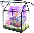Plant Terrarium Kit with Grow Light, Rifny Small Glass Terrarium Jar with Absorbent Mat and Lid for Venus Fly Trap Succulent Live Air Plants Indoor Home Office Decor (Black, 7.1 x 4.8 x 8.8 inch)