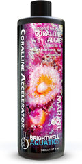 Brightwell Aquatics - Coralline Accelerator - Multi-Nutrient Supplement for Coralline Algae Growth in Marine and Reef Aquariums - Aquarium Water Treatments, 16.9 fl oz