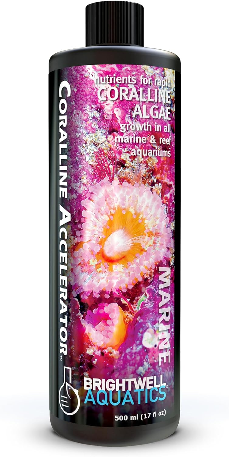 Brightwell Aquatics - Coralline Accelerator - Multi-Nutrient Supplement for Coralline Algae Growth in Marine and Reef Aquariums - Aquarium Water Treatments, 16.9 fl oz