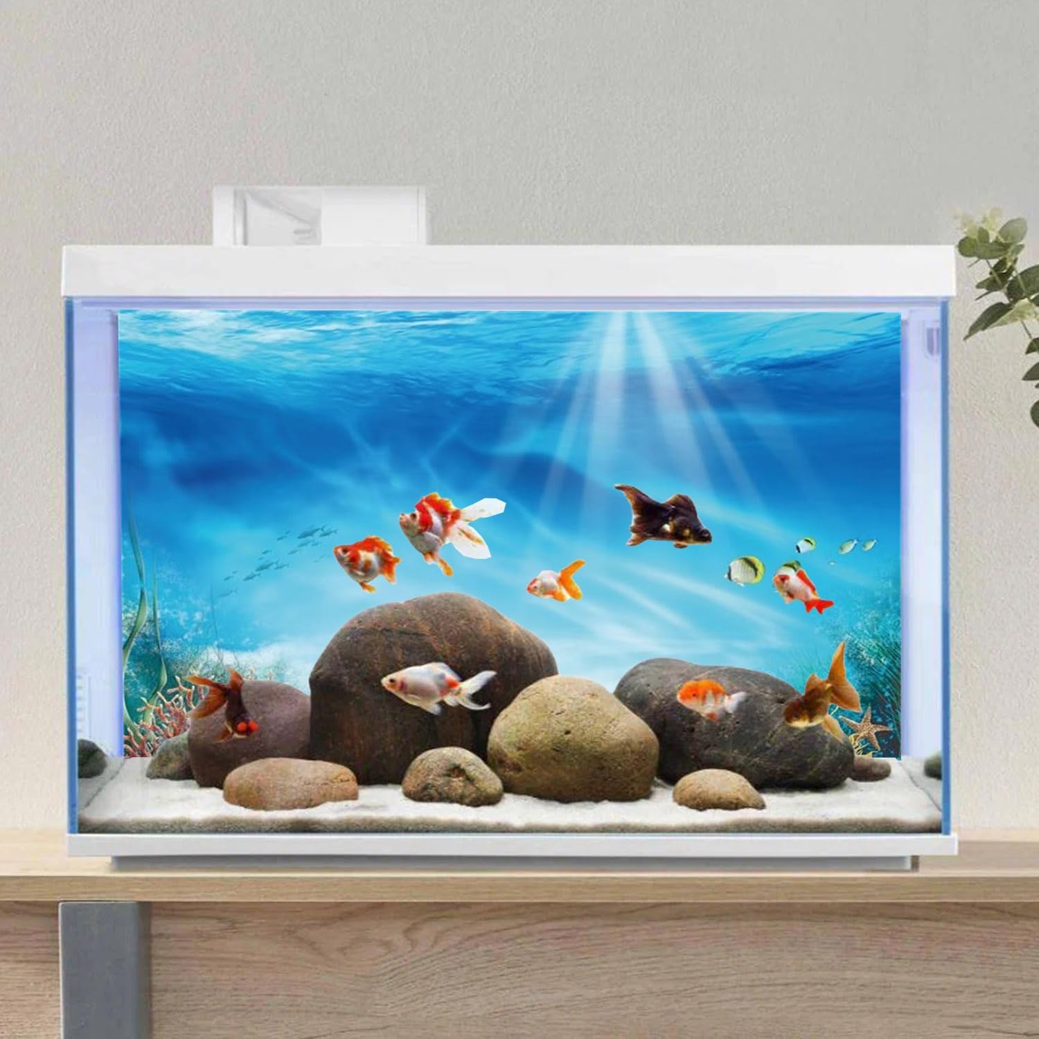 AWERT Undersea Theme Aquarium Background Colorful Coral Tropical Fish Sunshine Underwater World Fish Tank Background 48x20 inches Vinyl