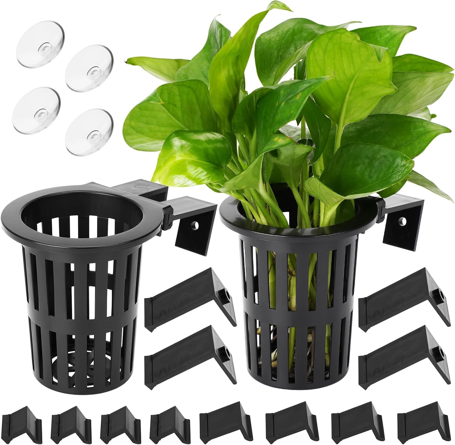 Borlech 2025 New Upgraded Large Aquarium Plant Holder with 1.57-inch Extension Hooks and Suction Cups for Fish Tank Aquaponic Plant Cultivation and Aquascape Accessories Decorations (2 PCS)