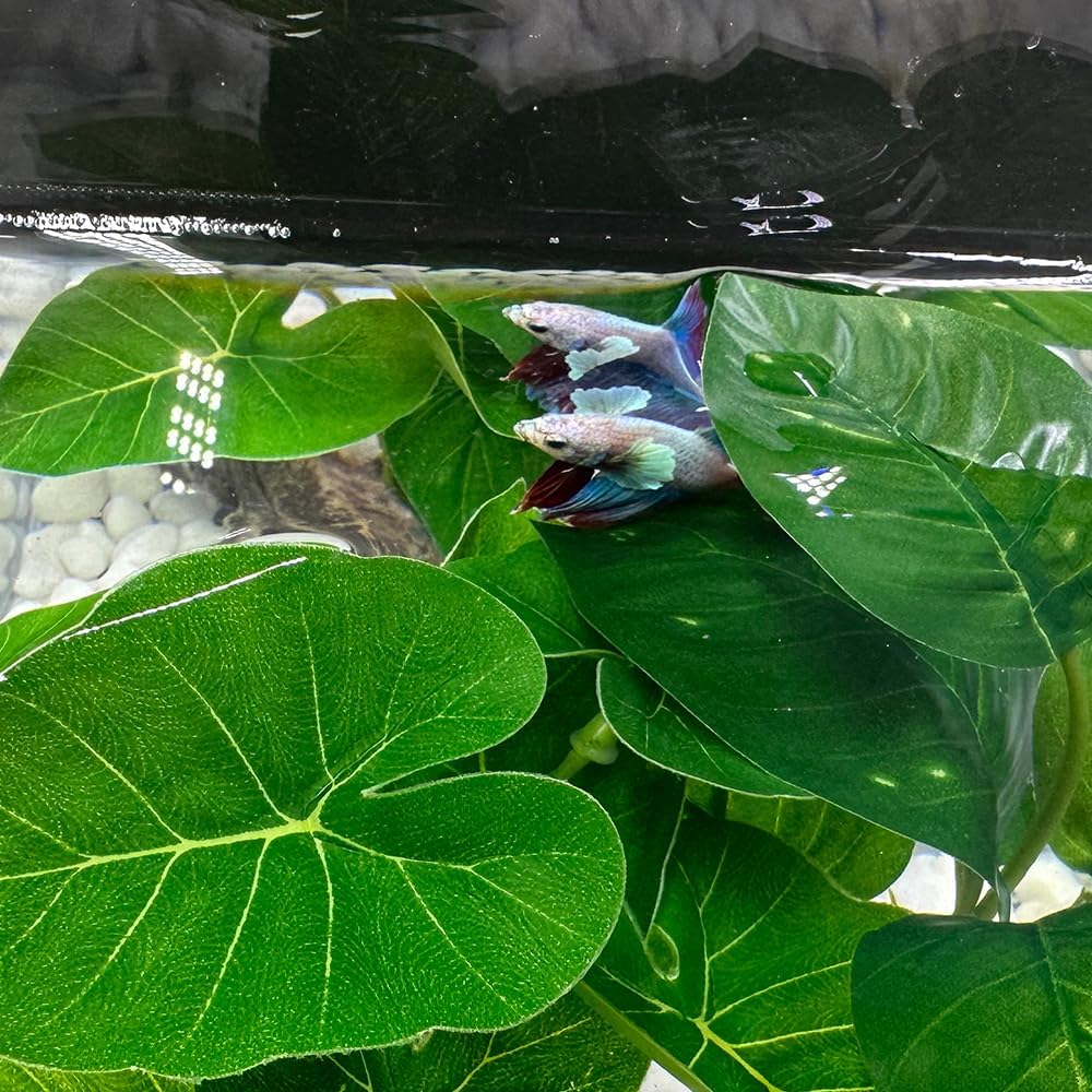 Smoothedo-Pets Fish Tank Decor Aquarium Decorations Ornaments Betta Leaf pad Hammock 6inch Plastic Artificial Plant Goldfish Fish Hides Small Tank/Reptiles Plants Driftwood (Green-Type-A)