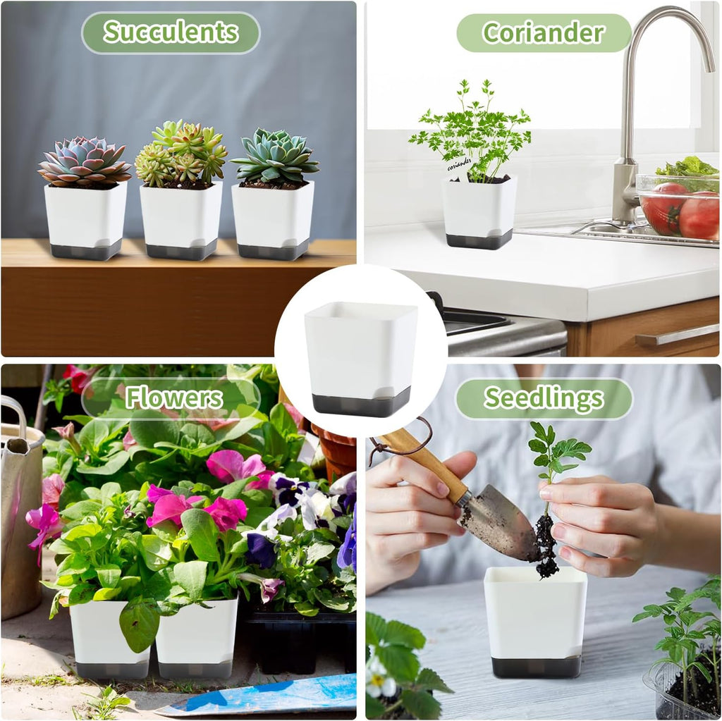 3 inch Small Nursery Pots, Seedling Pots, 20 Pack Plastic Plant Pots for Indoor Outdoor Plants, Decorative White Succulent Flower Pots with Drainage Holes and Saucers
