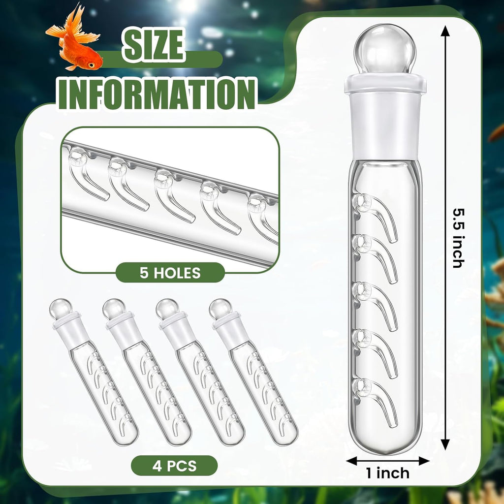 Qualirey 4 Pack Planaria Catch Trap for Aquarium Snail Leech Clear Glass Planaria Trap for Dwarf Shrimp Red Cherry Shrimp Tank(5 Holes)