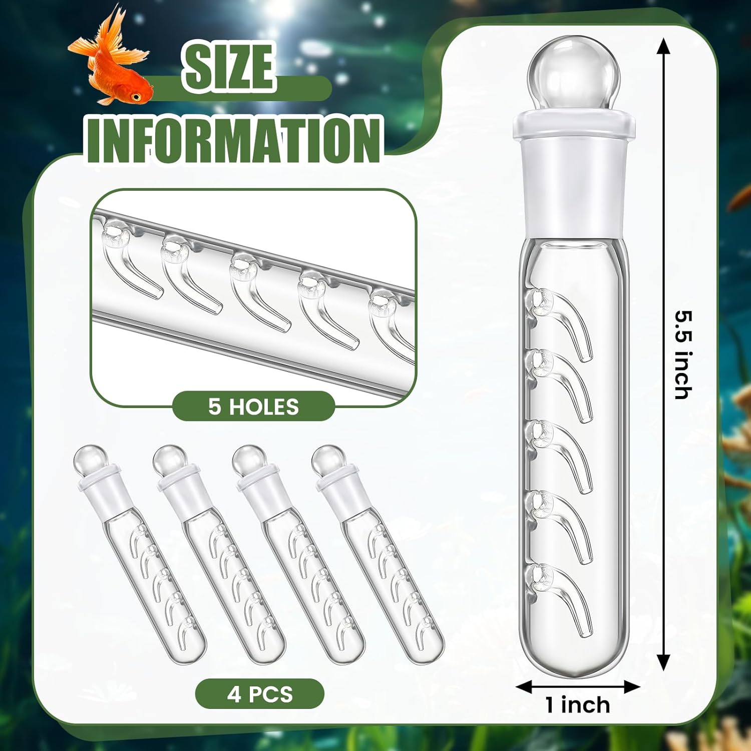 Qualirey 4 Pack Planaria Catch Trap for Aquarium Snail Leech Clear Glass Planaria Trap for Dwarf Shrimp Red Cherry Shrimp Tank(5 Holes)