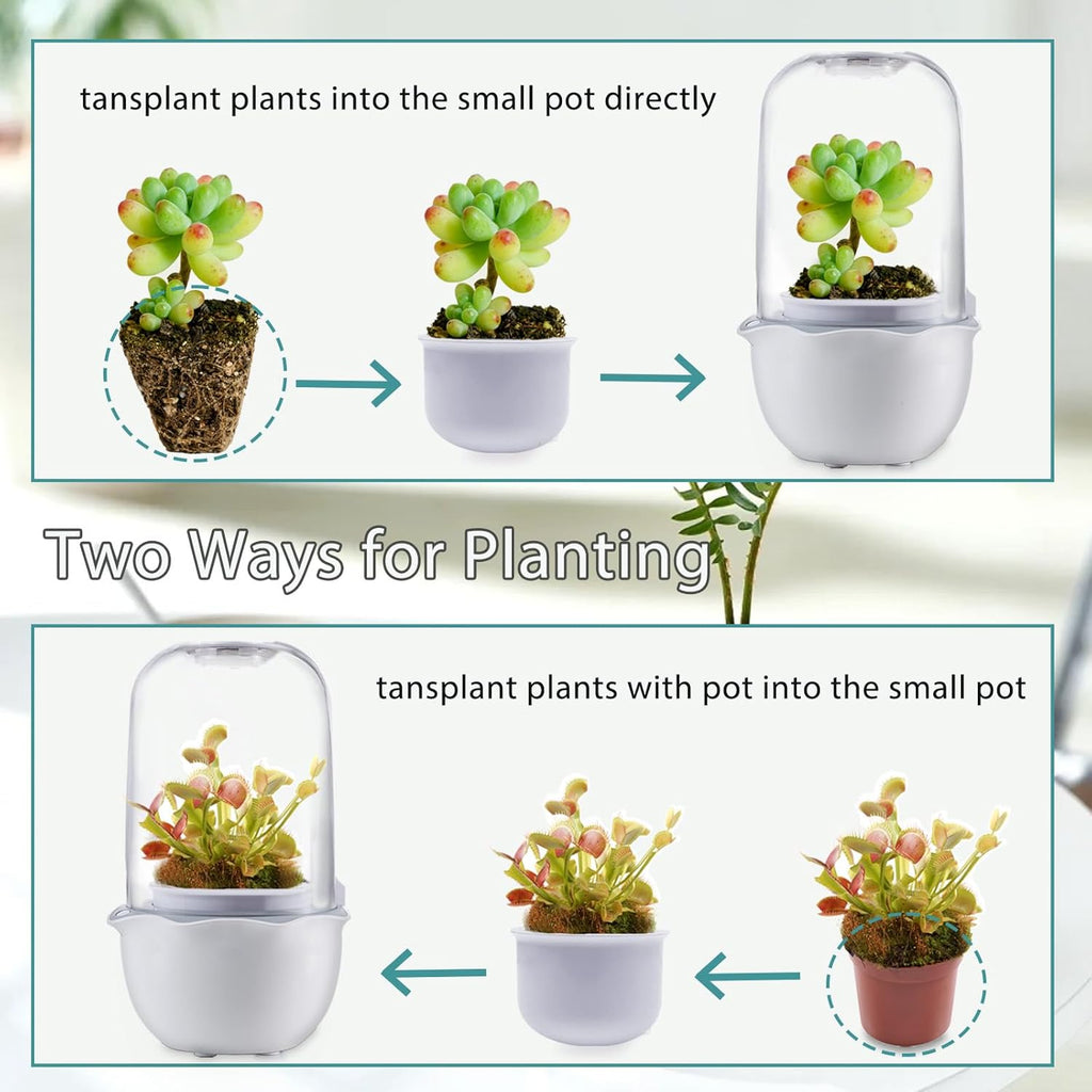 Venus Fly Trap Terrarium Pot with Timer Grow Light & Fan, Smart Planter for Succulents Butterwort, Carnivorous Plants Pot, Christmas Birthday Gifts for Women Garden Lover (no Plant)