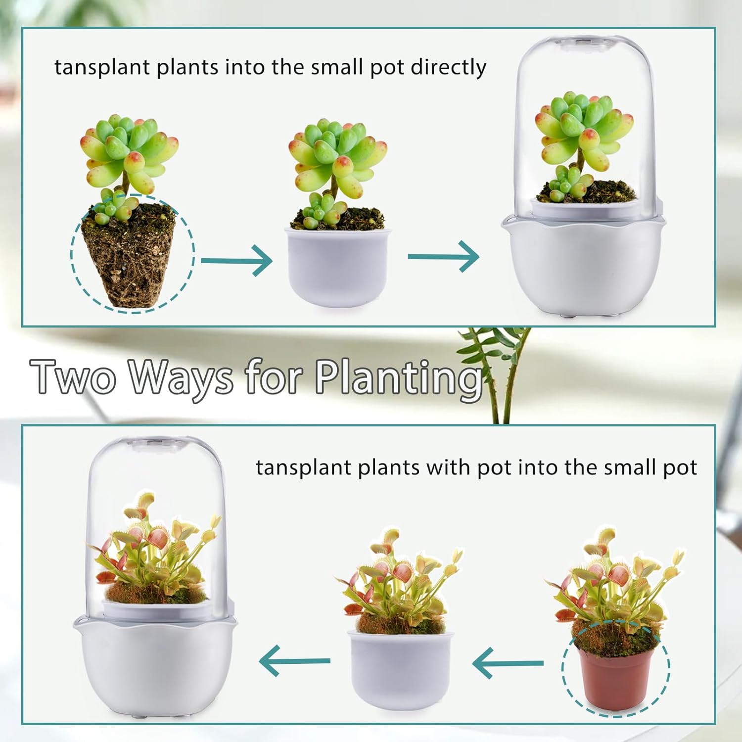Venus Fly Trap Terrarium Pot with Timer Grow Light & Fan, Smart Planter for Succulents Butterwort, Carnivorous Plants Pot, Christmas Birthday Gifts for Women Garden Lover (no Plant)