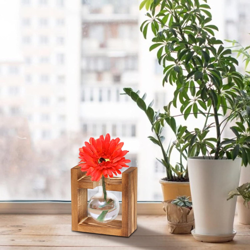 Kingbuy Glass Plant Terrarium - 1 Bulb Propagation Station with Retro Wood Stand Indoor Garden Planter, Bulb Vase & Desktop Decor for Home Kitchen Wedding, Gift for Women & Plant Lover