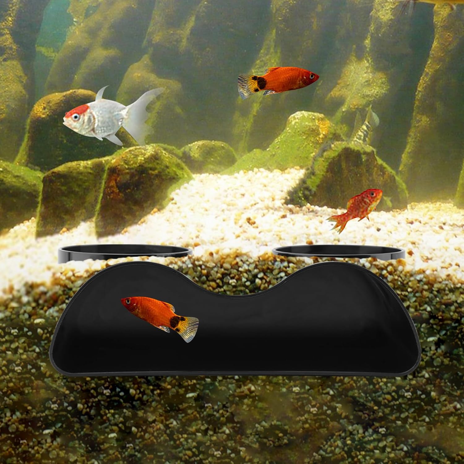 Aquarium Cave - 2-Hole Underground Tunnel | Under Gravel Fish Hideout | Fish Tank Decor for Corydora/Pleco, Ideal for Breeding & Viewing Shrimp
