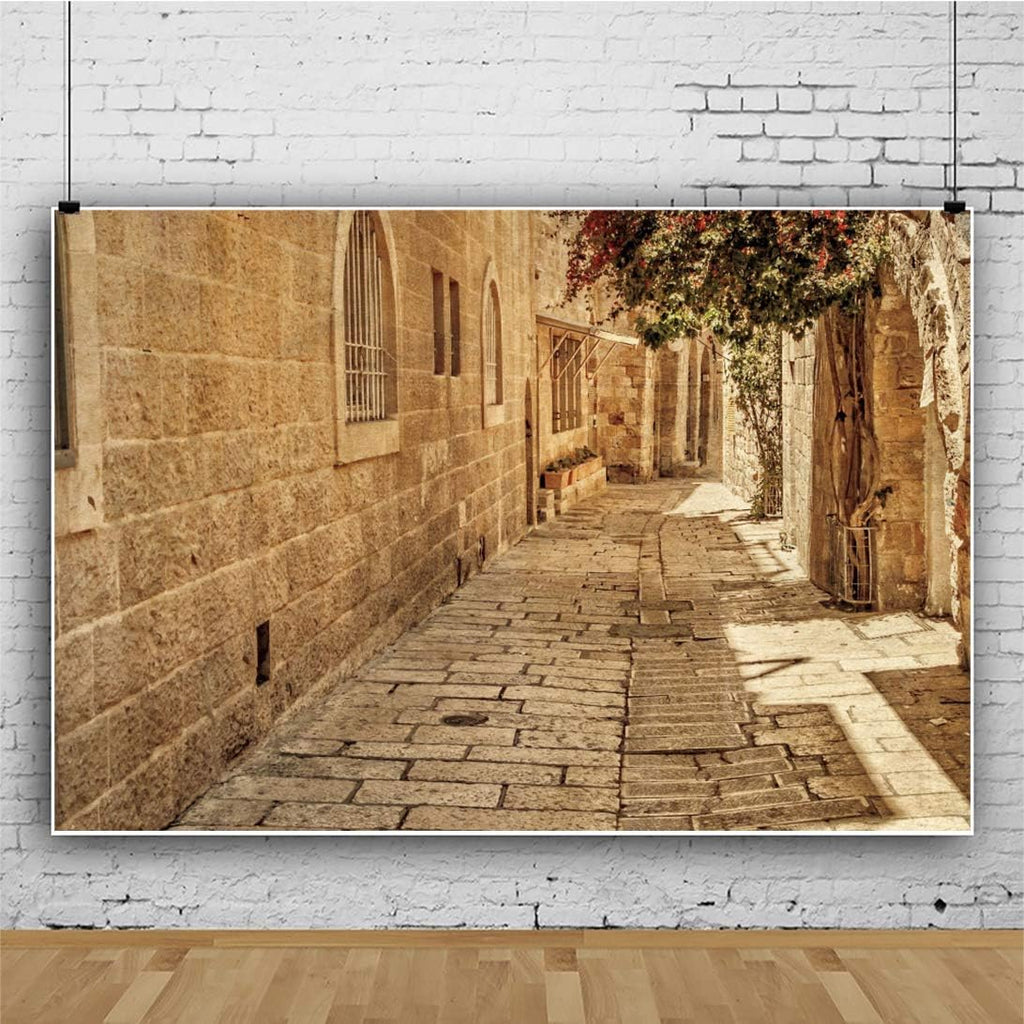 Jerusalem Street Backdrop Ancient Stone Wall Background Old Town Street Background Israel Street Backdrop Baby Shower Wedding Background Town Travel Party Background Studio Props 9x6ft