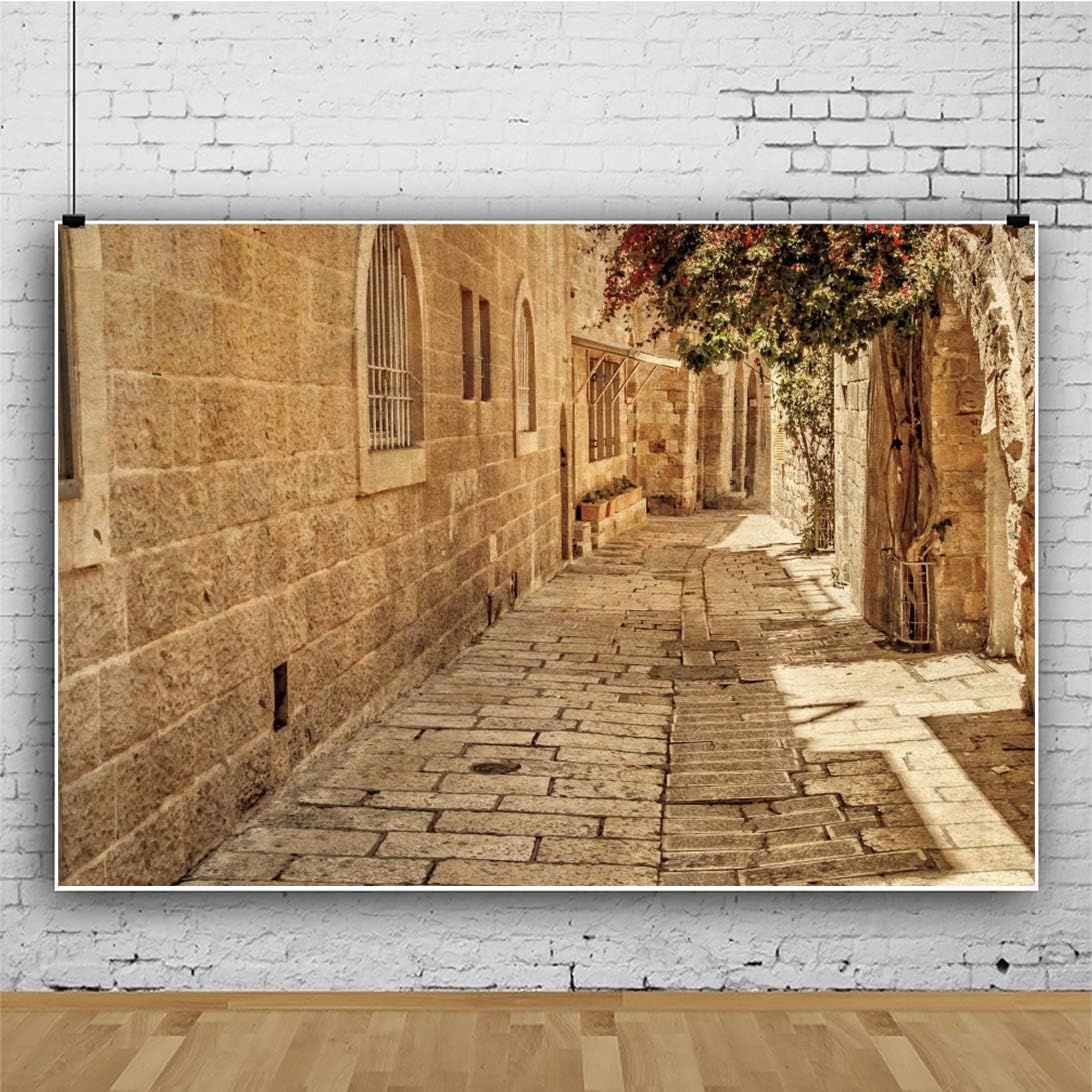 Jerusalem Street Backdrop Ancient Stone Wall Background Old Town Street Background Israel Street Backdrop Baby Shower Wedding Background Town Travel Party Background Studio Props 10x7ft