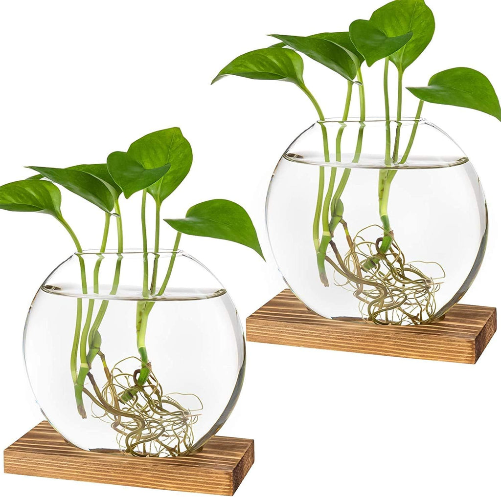 Kingbuy Round Glass Desktop Planter with Wooden Stand - Propagation Station for Small Hydroponic Plants, Spider Plants, Pothos, Lucky Bamboo - Terrarium Vase for Home Office Decor, 2-Pack, Brown