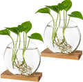 Kingbuy Round Glass Desktop Planter with Wooden Stand - Propagation Station for Small Hydroponic Plants, Spider Plants, Pothos, Lucky Bamboo - Terrarium Vase for Home Office Decor, 2-Pack, Brown
