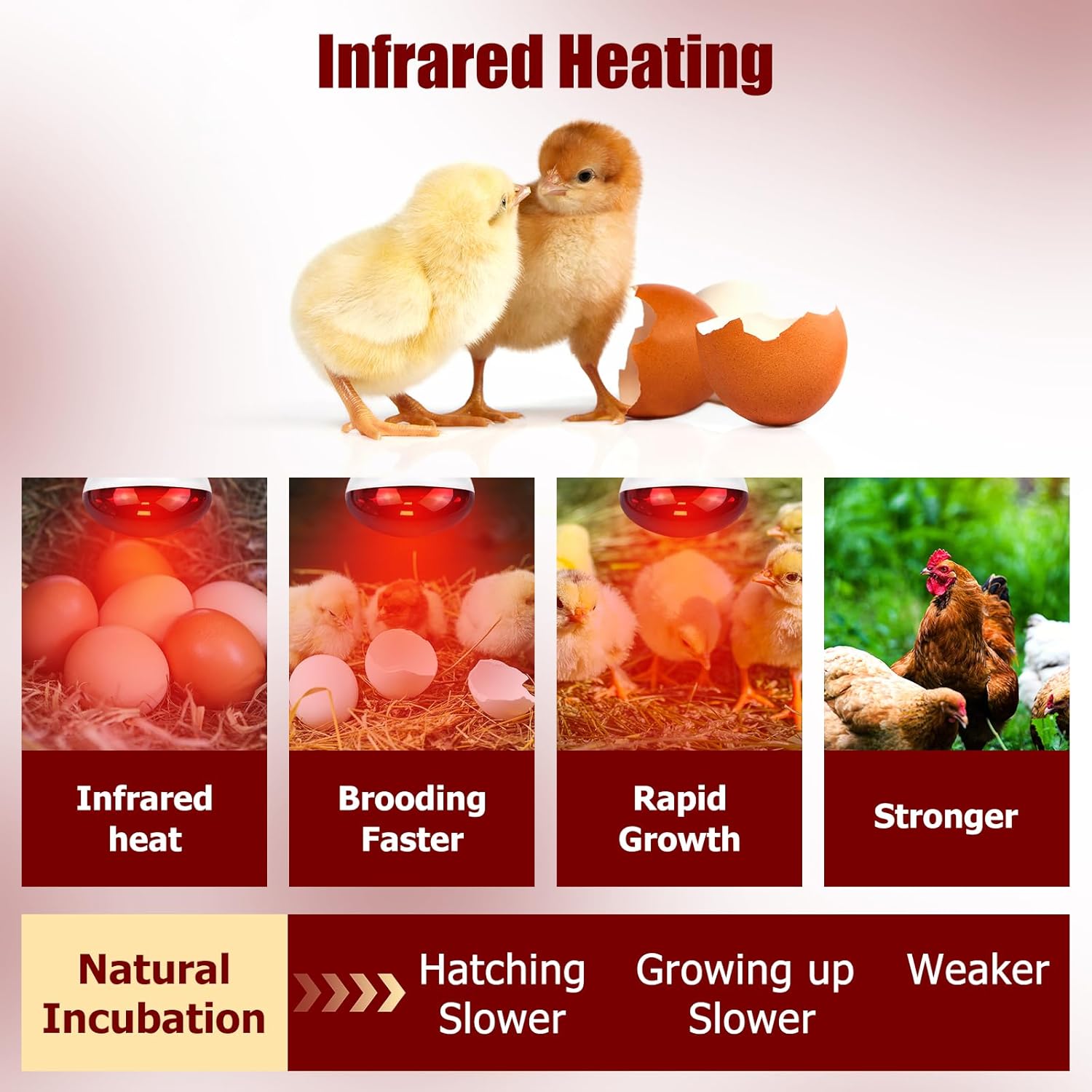 250W Infrared Heat Lamp for Chicken, Red Heat Light Bulb R125 2 Pack, Heat Lamp Bulb for Chick Croop, Reptiles, Pets, Food