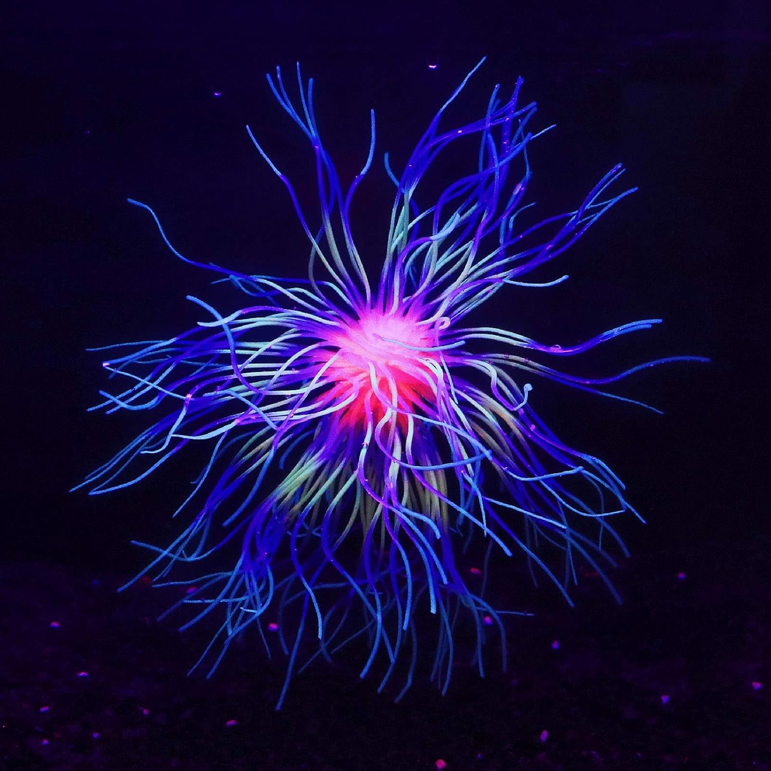 Soft Silica Gel Moves Naturally with Water Flow, Aquarium Decorations Glow in The Dark, Glowing Coral Ornaments for Fish Tank Decorations (Green, Fireworks)