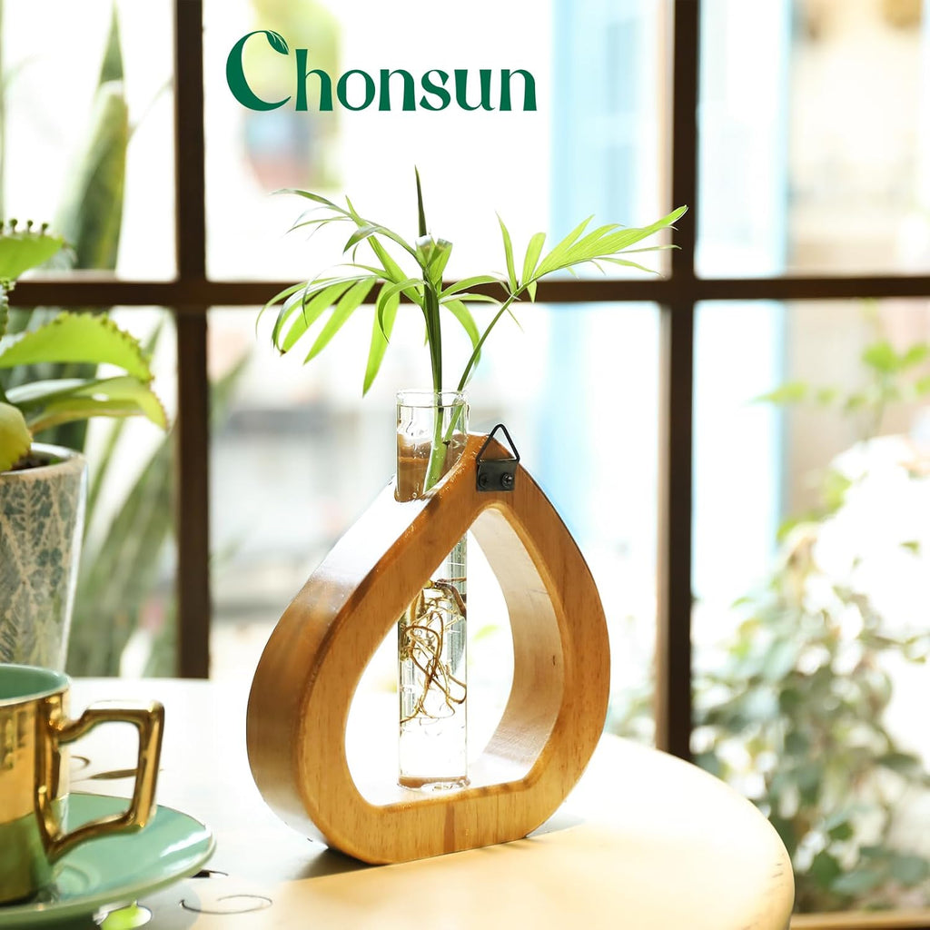 Propagation Stations Planter Terrariums Wall Hanging Test Tube Desk Decorations with Wooden Stand Plant Terrarium Office Decor Gifts for Plant Lover Gifts