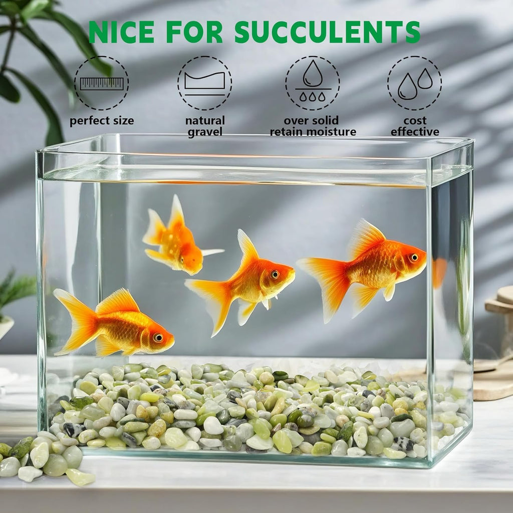 2.2 lb Jade Pebbles for Indoor Plants, 3/8 Inch Polished Decorative Pebbles for Vase, Bamboo, Succulent, Garden Landscape Decoration River Stone