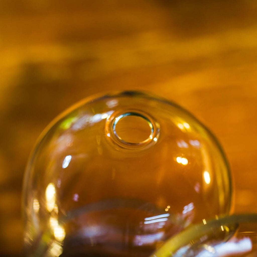Small Glass Dome with Base and Air Hole - 4.7 x 4.7 x 6.3 Inch - Clear Glass Cloche Bell Jar, Home Indoor Tabletop Decorative Terrarium, (No Plants Included)