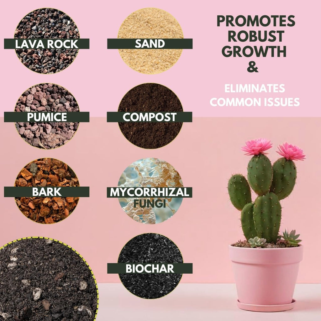 Soil Sage Cactus & Succulent Potting Mix 2.5Qt - Premium Fast Draining Soil for Indoor Plants and Aloe Vera - High Drainage Blend for Healthy Roots and Growth - Made in USA (Cactus / 2.5 QT)