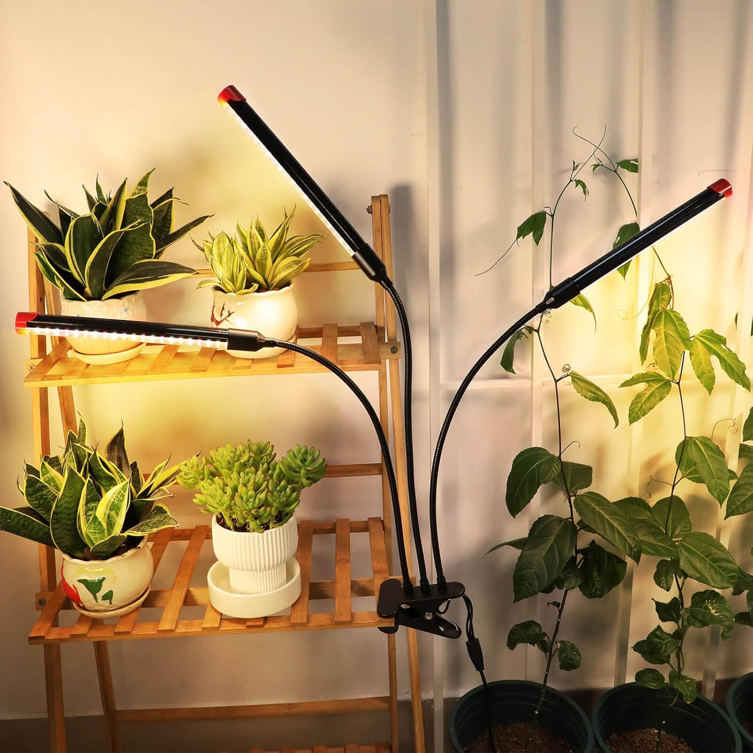 Clip Grow Lights for Seed Starting with Timer, Full Spectrum Brightest Plant Growing Lamps for Indoor Plants, Bonsai, Seedlings, 27 Watt Home Plug But Not 10W Adapter