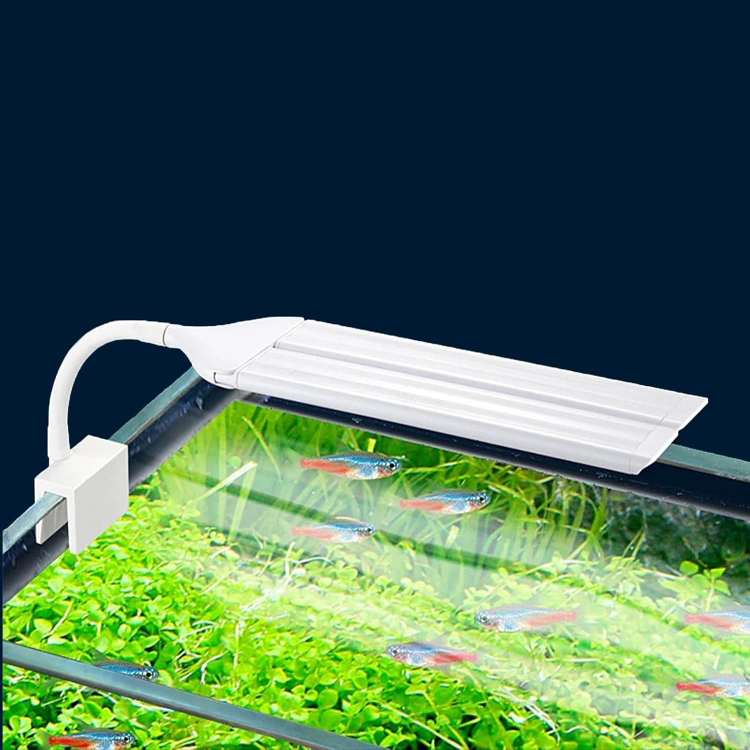 Led Aquarium Light Clip on Fish Tank Light Full Spectrum Plants Lights with Timer Auto On Off, 3 Colors Mode, 360° Adjustable 2 Light Bar, Aquarium Lamp Suitable for 20-75 Gal Fish Tank