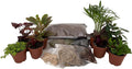 Hirt's Terrarium Kit with 8 Terrarium Plants in 2" Pots