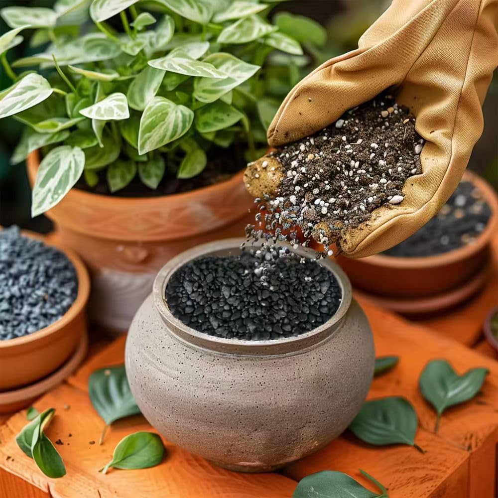HappyFiller 0.88 LB Black Gravels Small Stones Succulent Mini Rocks Planter Soil Cover Pebbles, Fairy Garden,Terrarium,Lucky Bamboo,Cactus Topper Dressing Decor,Aquarium Fish Tank Bottom Granule