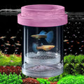 Breeder Box for Fish Tank, Plastic Aquarium Breeding Chamber, Floating Mesh Isolation Hatchery Incubator for Small Fish, Betta Shrimp Clownfish Guppy - Adjustable Nursery Tank Divider (Pink,Large)