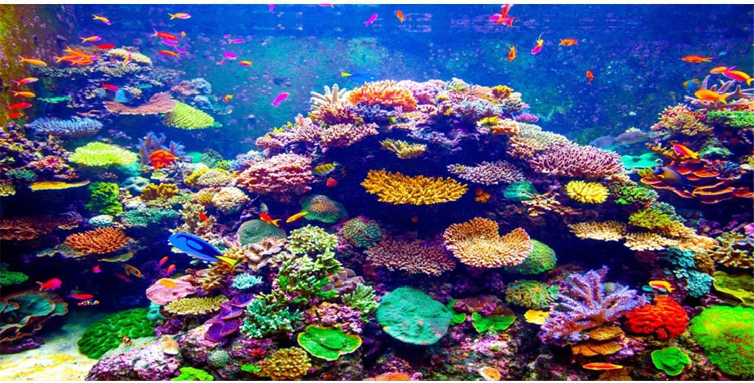 AWERT Undersea Theme Aquarium Background 72x16 inches Vinyl Colorful Coral Tropical Fish Underwater World Fish Tank Background