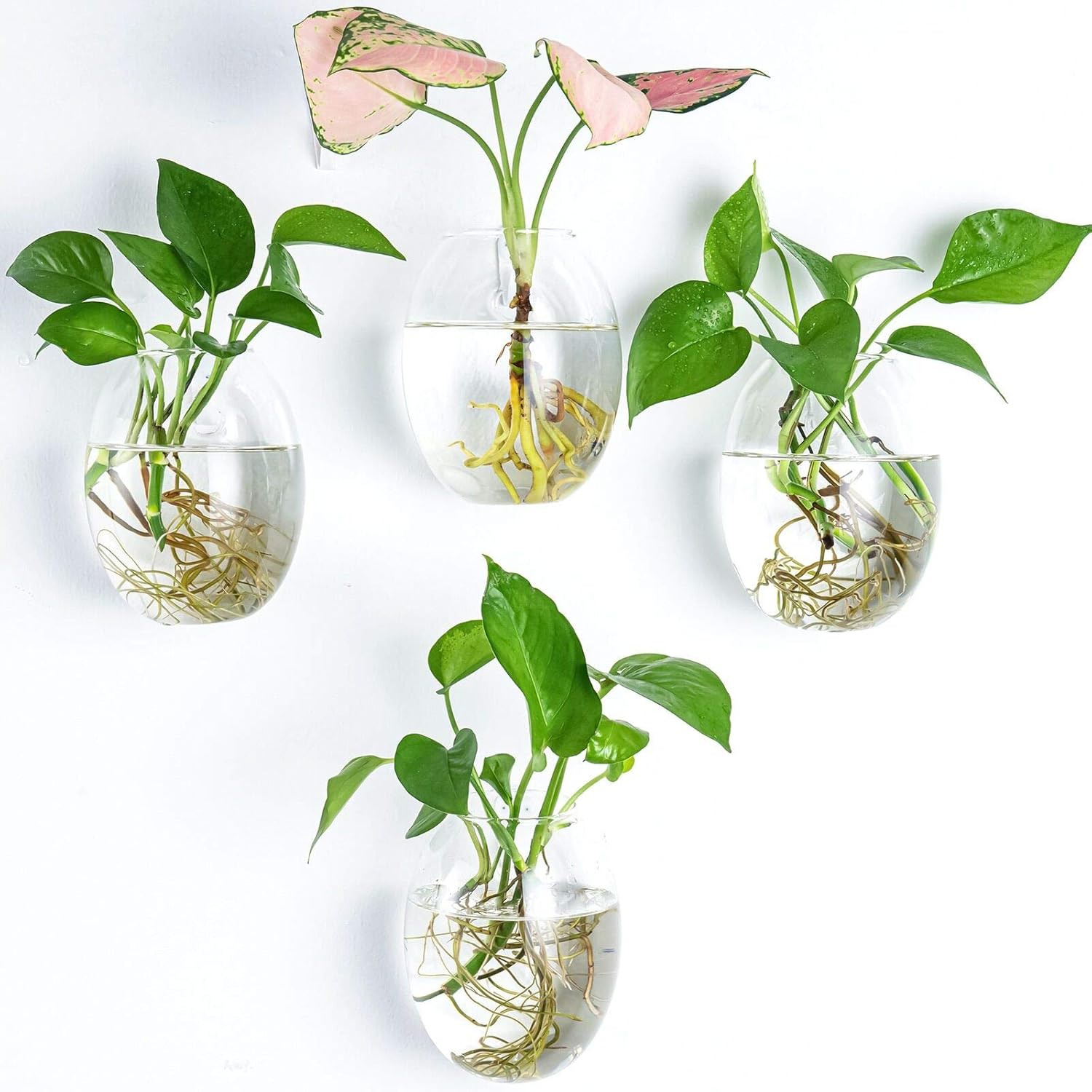Kingbuy Wall Hanging Propagation Station Glass Plant Terrarium Container Egg Shape for Propagating Hydroponic Plants Home Office Garden Decor Wedding, 4 Pack