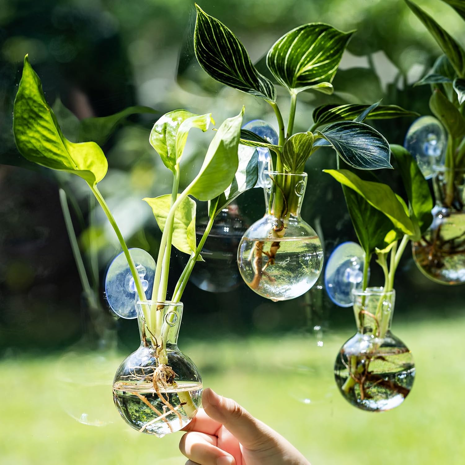 Window Propagation Stations, Bulb Vase with Suckion Cups Hooks, Easy to Install Window Hanging Planter, Glass Terrarium Planters for Water Plant Propagation & Rooting Cuttings (2)