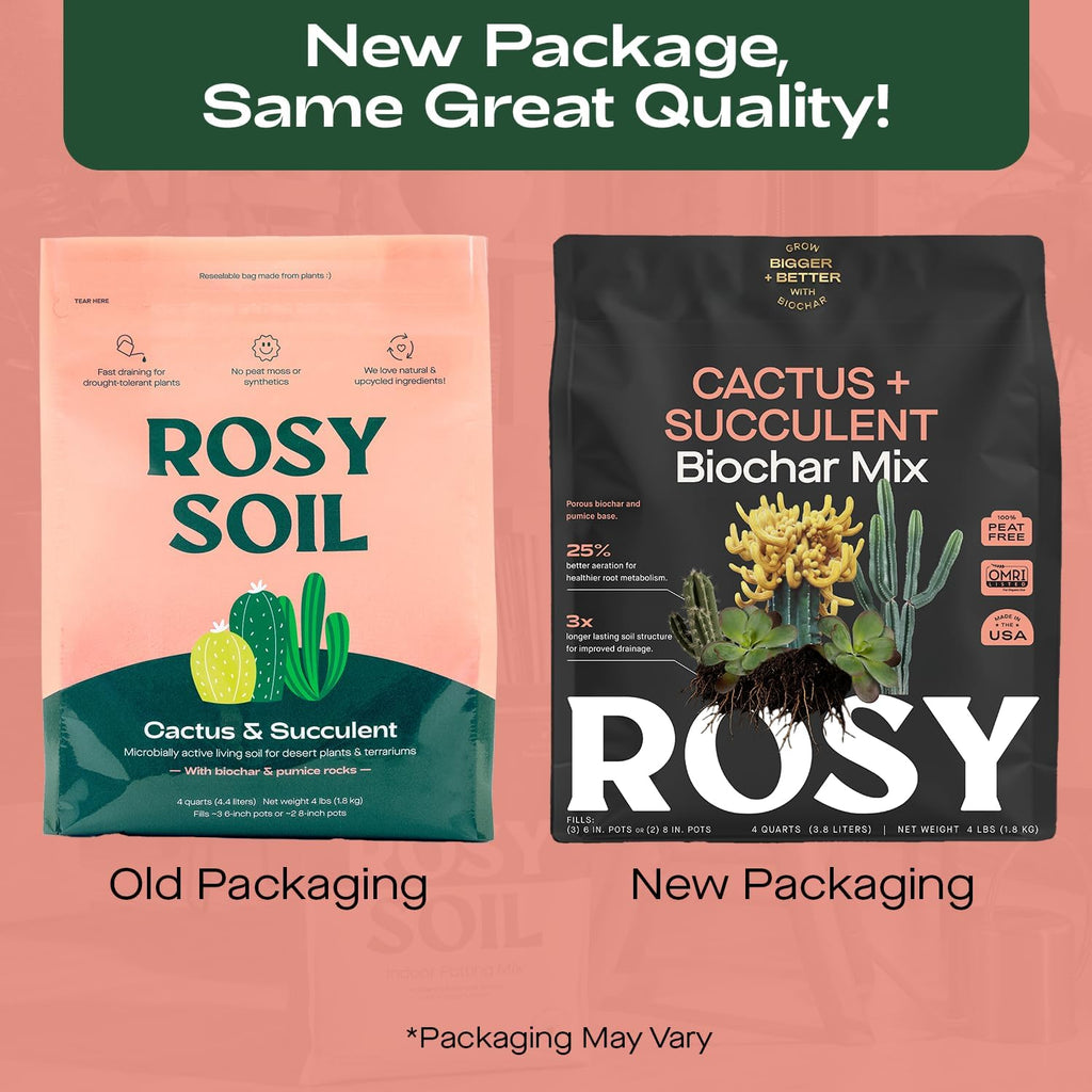 Cactus and Succulent Organic Potting Soil Mix for House Plants - Fast Draining, Root Boosting, Peat-Free, Less Prone to Gnats - Drought-Tolerant - Growth of Aloe Vera, Cacti and Indoor Succulents- 4qt
