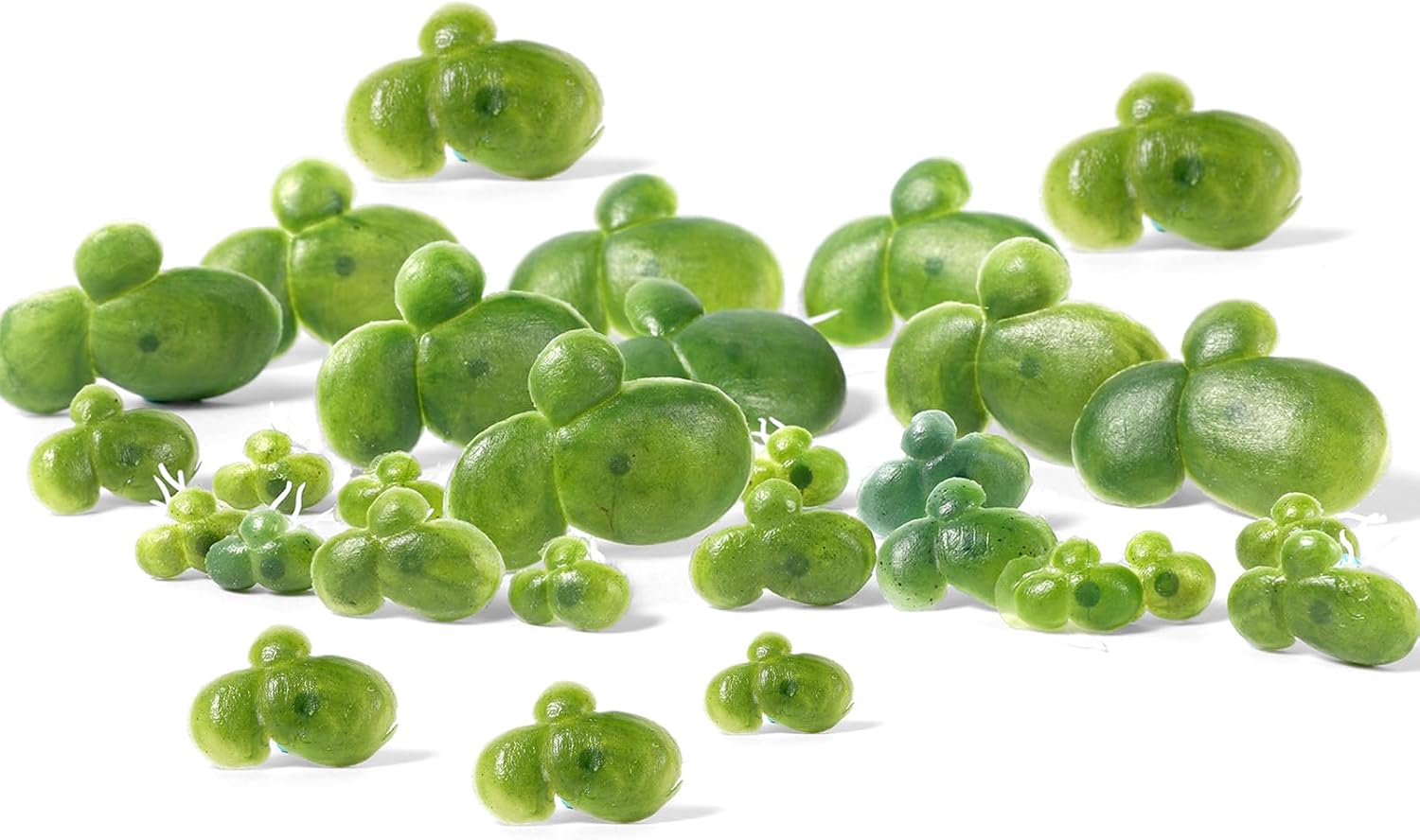 36 Pack Artificial Mini Duckweed with Root, Artificial Floating Plant Plastic Aquarium Simulation Floating Plants for Aquarium Tank Decor