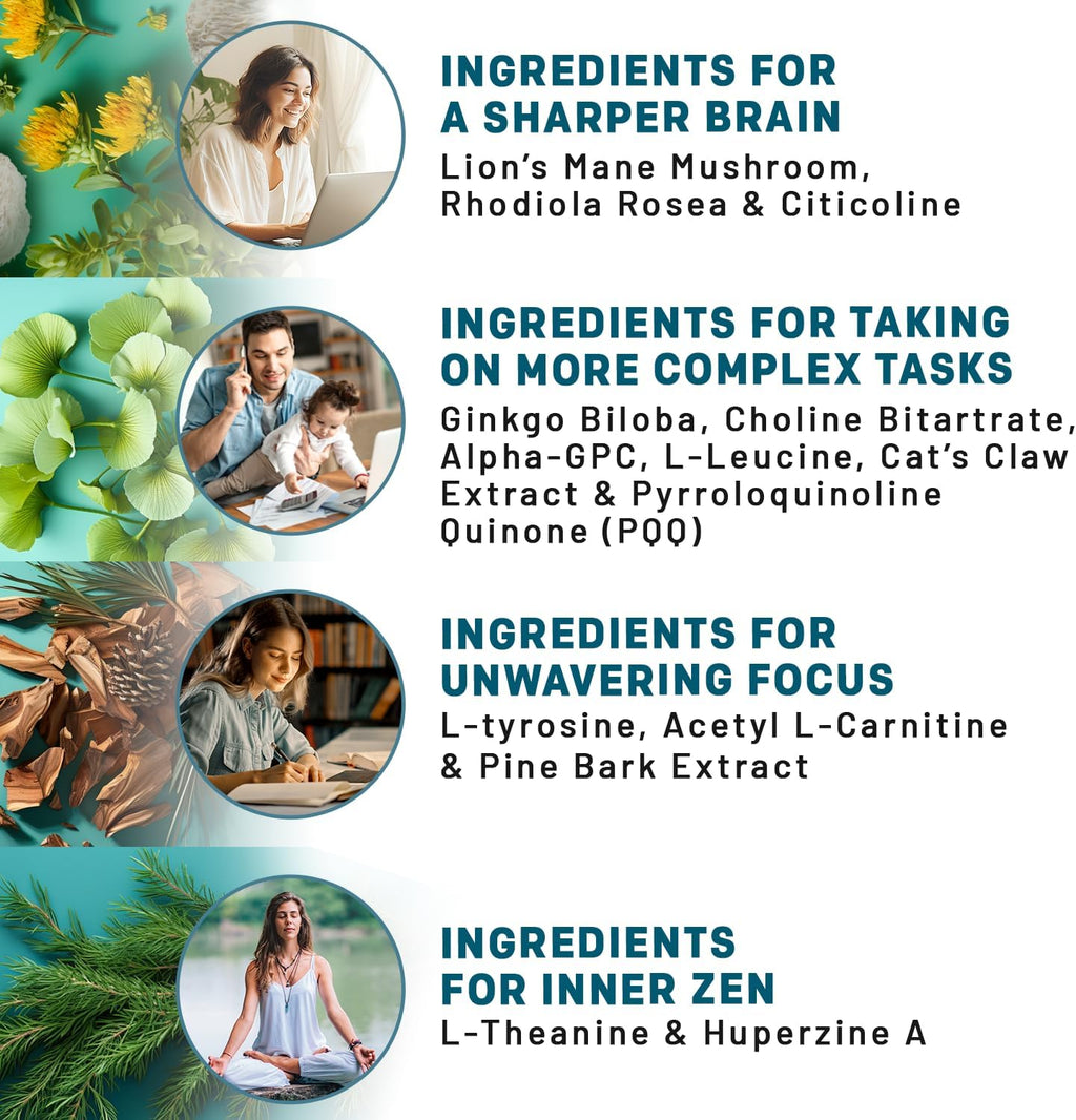 14-in-1 Lions Mane Supplement Capsules - Nootropic Brain Supplement with Ginkgo Biloba for Brain Support, Memory and Focus - Alpha GPC, L Theanine and Choline Supplements with 1300mg Per Serving - 2pk