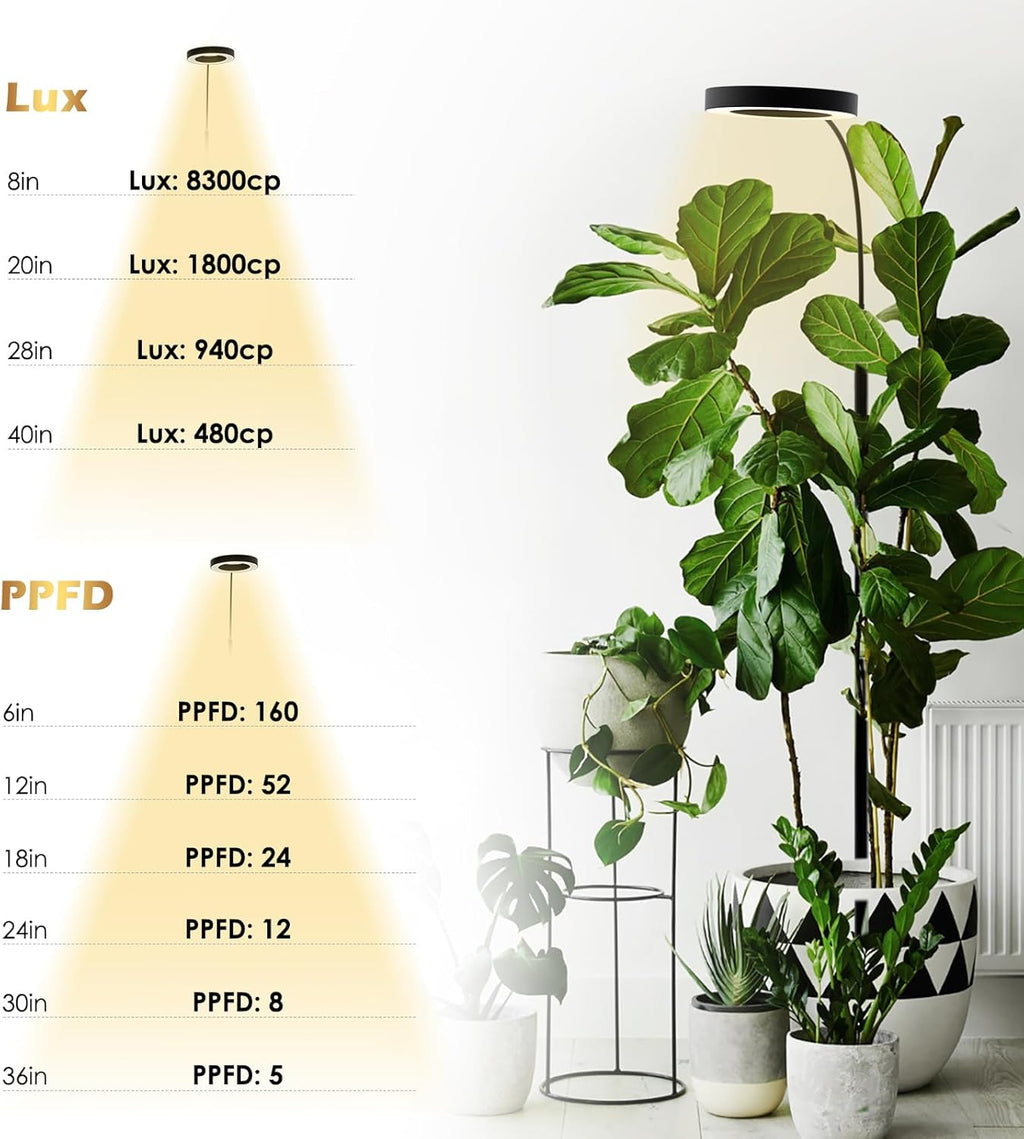 GLOWRIUM Grow Lights for Indoor Plants, Full Spectrum LED Grow Light Floor Lamp with Stand Adjustable Height and Angle, Black Plant Light with 3/9/12H Grow Light Timer (Black, 20W)
