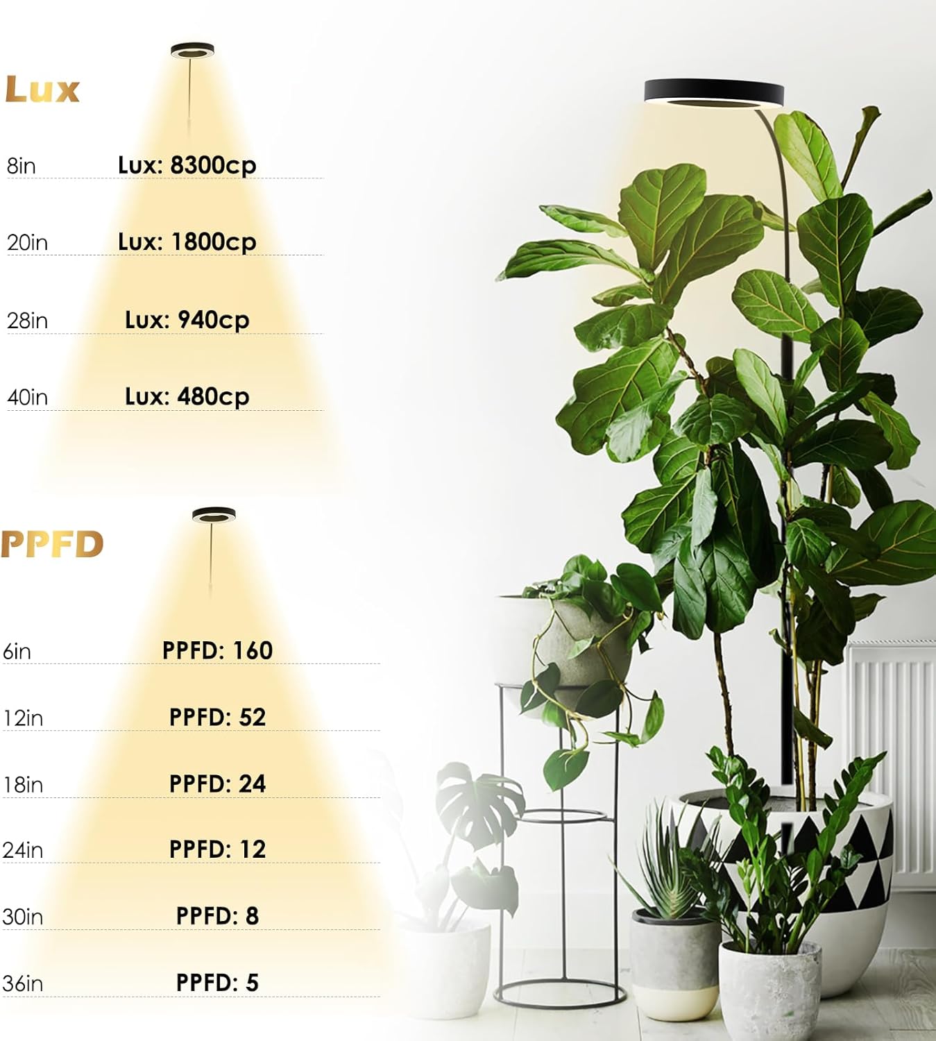GLOWRIUM Grow Lights for Indoor Plants, Full Spectrum LED Grow Light Floor Lamp with Stand Adjustable Height and Angle, Black Plant Light with 3/9/12H Grow Light Timer (Black, 20W)